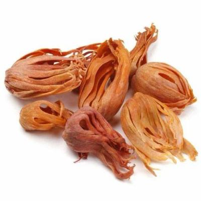 જાવંત્રી (JAVNTRI)