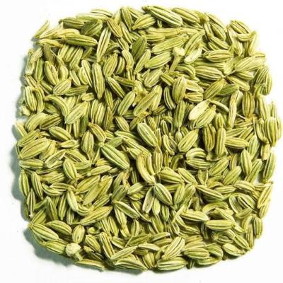 વરીયાળી (VARIYALI)