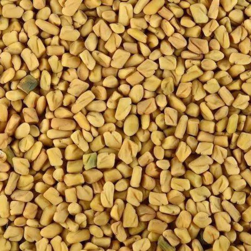 મેથી (METHI)