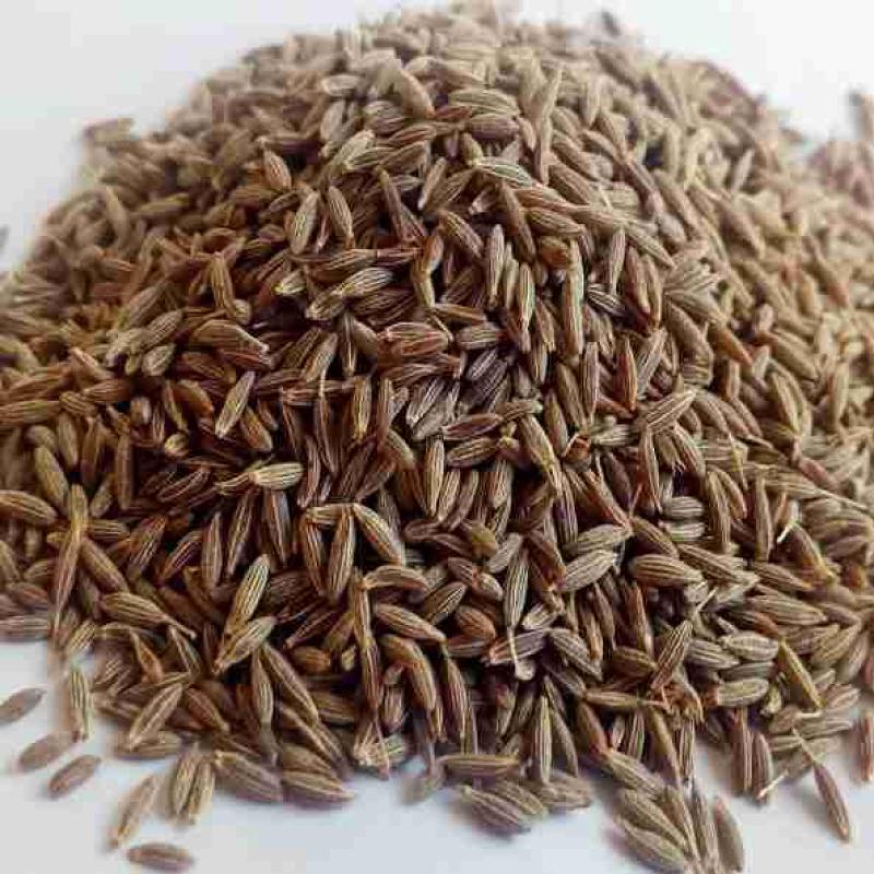 જીરું (JEERA)